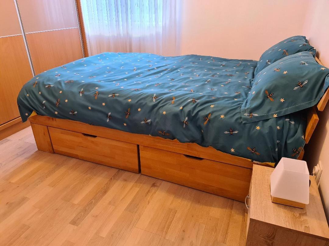 Central Cosy Apart Oradea Daire Dış mekan fotoğraf