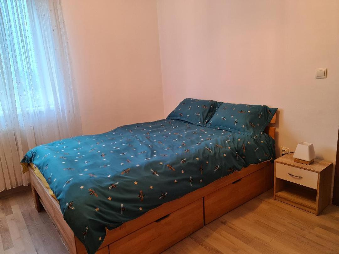 Central Cosy Apart Oradea Daire Dış mekan fotoğraf