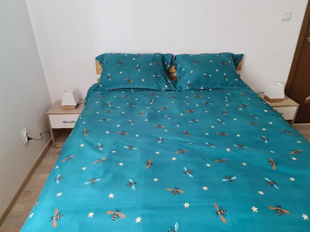 Central Cosy Apart Oradea Daire Dış mekan fotoğraf