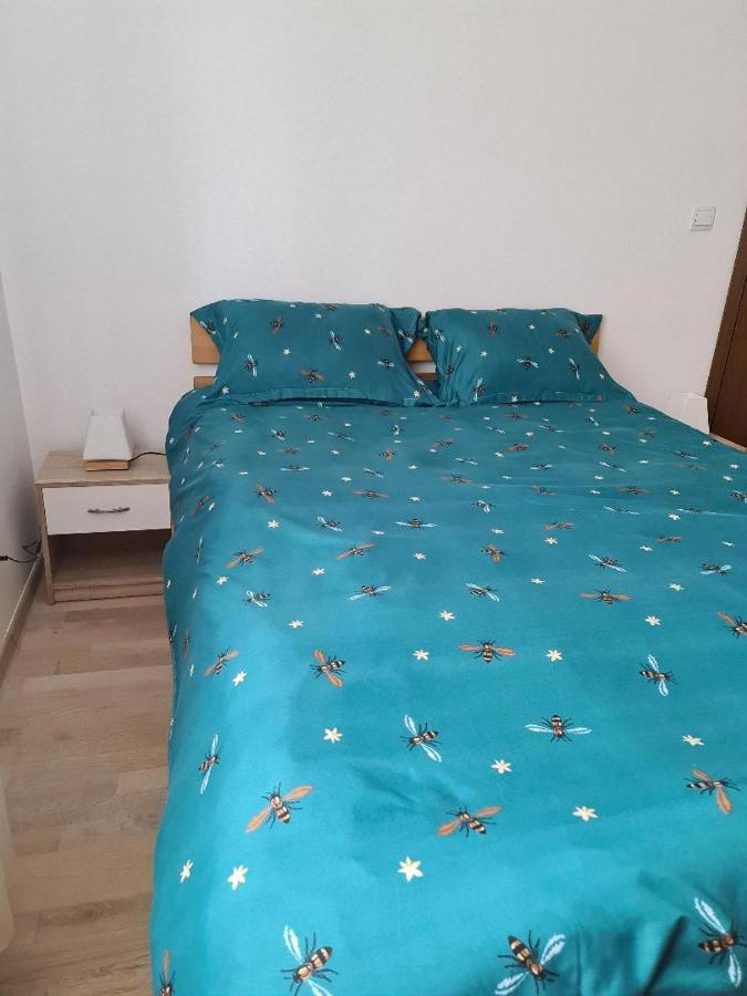 Central Cosy Apart Oradea Daire Dış mekan fotoğraf